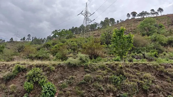 Himalaya dağlarının yeşil yamaçları ve bulutlu gökyüzü