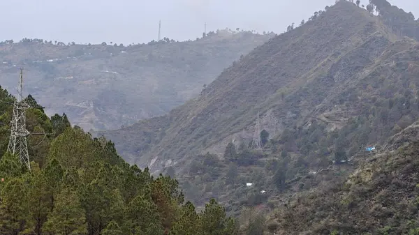 Hindistan 'daki Himalaya dağlarının yeşil yamaçları