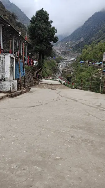 Hindistan 'ın Uttarakhand eyaletinin Chamoli ilçesine bağlı Badrinath kasabası ve Nagar Panchayat. Bir Hindu kutsal yeri ve Hindistan 'ın Char Dham haccındaki dört bölgeden biridir.. 