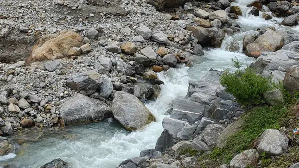 Kedarnath, Uttarakhand, Hindistan - 3584 metre yükseklikte Mandakini nehri kıyısındaki Lord Shiva 'ya adanmış Kedarnath Tapınağı' nın ünlü hac alanına doğru yol alan insanlar