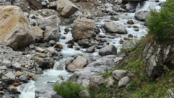 Kedarnath, Uttarakhand, Hindistan - 3584 metre yükseklikte Mandakini nehri kıyısındaki Lord Shiva 'ya adanmış Kedarnath Tapınağı' nın ünlü hac alanına doğru yol alan insanlar