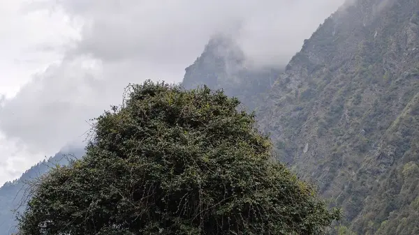 Himalaya dağlarının sisli güzel manzarası
