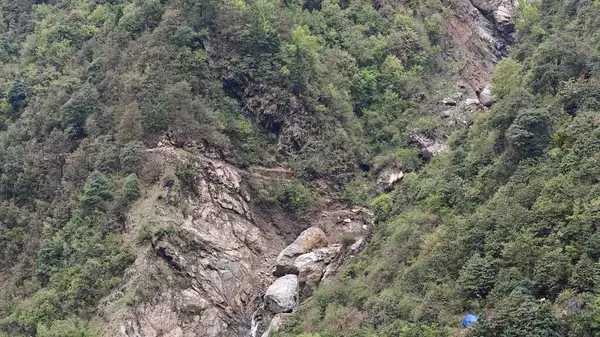 Himalaya dağlarında yeşil ağaçlar ve kayalar 