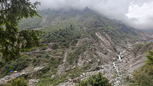 Himalaya dağlarının sisli güzel manzaralı akıntısı