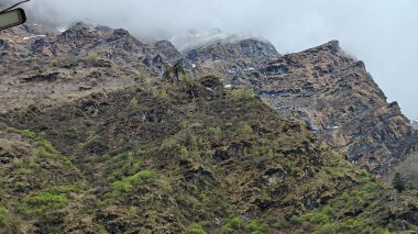 Himalaya dağlarının sisli güzel manzarası