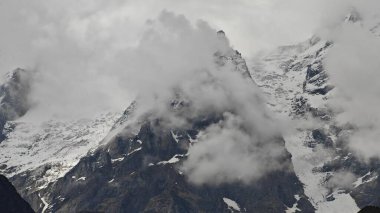 Sonsuza dek yeşil orman manzarası ve güzel karlı dağlar.