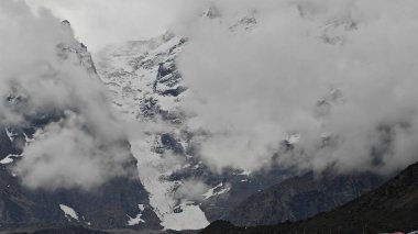 Sonsuza dek yeşil orman manzarası ve güzel karlı dağlar.