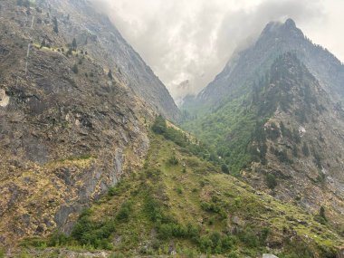 Sisli dağlarda seyrek yeşil bitki örtüsünün güzel manzarası
