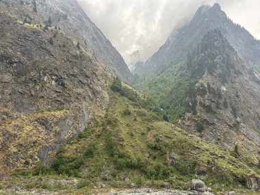 Sisli dağlarda seyrek yeşil bitki örtüsünün güzel manzarası
