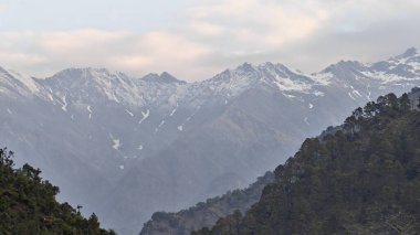 Himalaya dağlarında gün batımında yeşil ağaçlar yetişiyor.