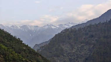 Himalaya dağlarında gün batımında yeşil ağaçlar yetişiyor.