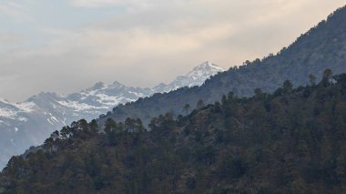 Himalaya dağlarında gün batımında yeşil ağaçlar yetişiyor.