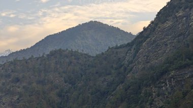 Himalaya dağlarında gün batımında yeşil ağaçlar yetişiyor.