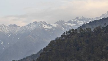 Himalaya dağlarında gün batımında yeşil ağaçlar yetişiyor.