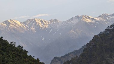 Himalaya dağlarında gün batımında yeşil ağaçlar yetişiyor.