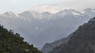 Himalaya dağlarında gün batımında yeşil ağaçlar yetişiyor.