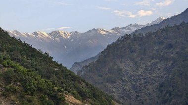 Himalaya dağlarında gün batımında yeşil ağaçlar yetişiyor.