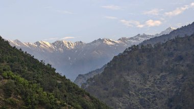 Himalaya dağlarında gün batımında yeşil ağaçlar yetişiyor.
