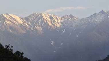 Himalaya dağlarında gün batımında yeşil ağaçlar yetişiyor.