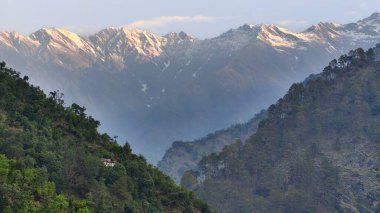 Himalaya dağlarında gün batımında yeşil ağaçlar yetişiyor.