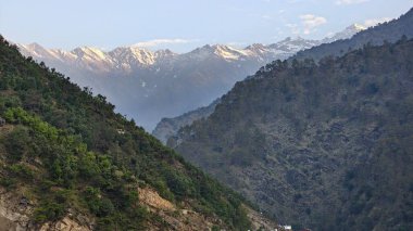 Himalaya dağlarında gün batımında yeşil ağaçlar yetişiyor.