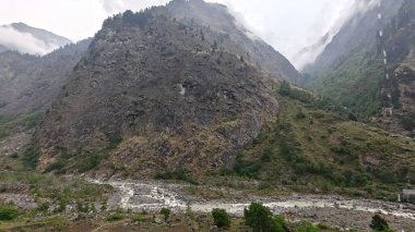 Himalaya dağlarındaki güzel dere manzarası 