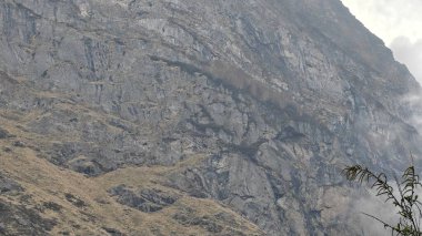 Himalaya dağlarının sisle kaplı güzel manzarası