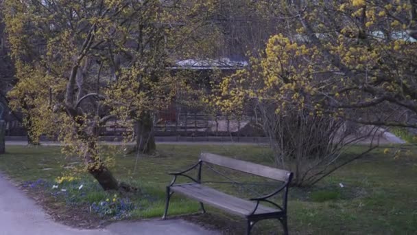 Bänk Botaniska Trädgården Tidigt Våren Göteborg Högkvalitativ Film — Stockvideo