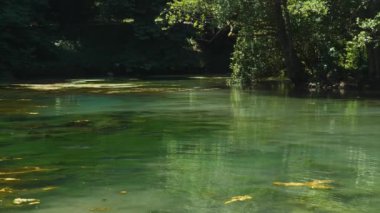 Bosna Nehri 'nin Baharı veya Bosna-Hersek' in Vrelo Bosne Nehri 'ndeki su tesisleri. Yüksek kalite 4k görüntü