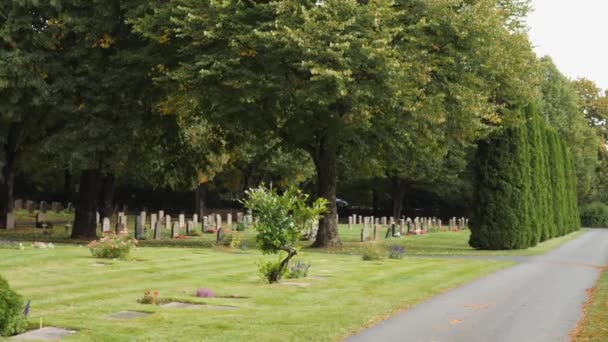 Θάμνος Και Τάφος Κατά Μήκος Του Μικρού Δρόμου Στο Νεκροταφείο — Αρχείο Βίντεο