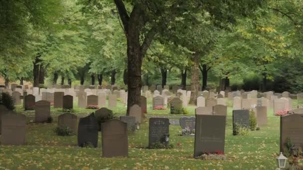 Scena Upadku Szwedzkim Cmentarzu Szerokie Ujęcie Wysokiej Jakości Materiał — Wideo stockowe