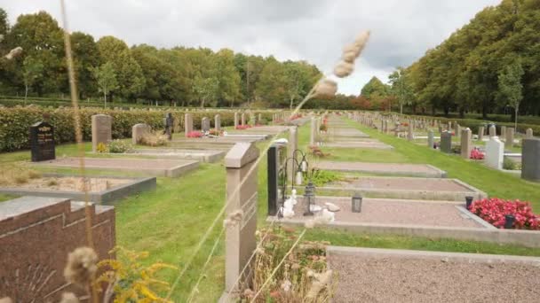 Rows Graves Kivberg Cemetery Gothenburg Sweden Reveal Shot 고품질 — 비디오