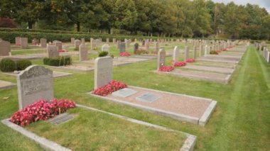 Kırmızı çiçekli Mezarlar, Pan Shot. Yüksek kalite 4k görüntü