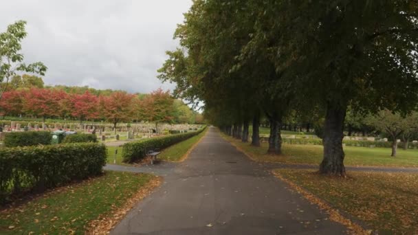 Road Kviberg Cemetery Gimbal Smooth Dolly Walk Fall Γκέτεμποργκ Σουηδία — Αρχείο Βίντεο