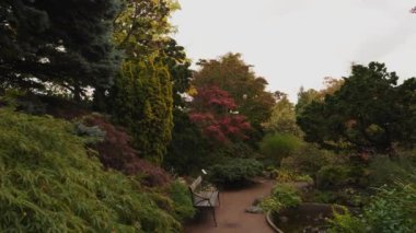 Green, Yellow and Red Bushes at The Rock Garden of the Garden Society, Gothenburg, Sweden. High quality 4k footage