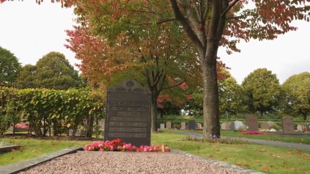 Τάφος Κάτω Από Δέντρο Κόκκινα Φύλλα Στο Φθινόπωρο Χαμηλή Γωνία — Αρχείο Βίντεο