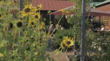 Flowers and Outdoor Cafe Seating in Garden Society Of Gothenburg, Sweden, Dolly. High quality 4k footage