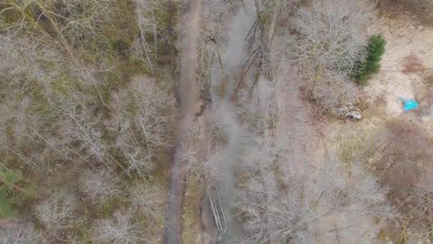 Vízfolyás Levélmentes Erdő Télen Lassú Légi Teteje Hátrafelé Kiváló Minőségű — Stock videók