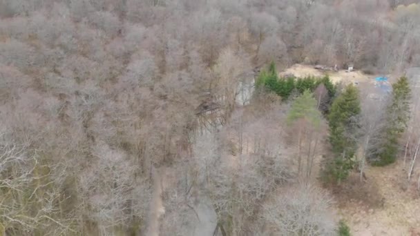 Water Stream Leafless Deciduous Forest Winter Aerial Reveal High Quality — Stok Video