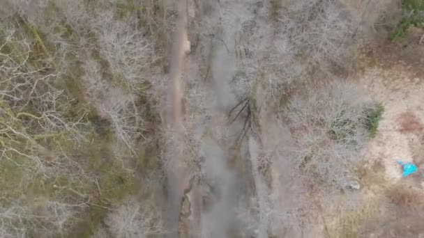 Vízfolyás Levélmentes Lombhullató Erdő Télen Légi Gyors Felülnézet Kiváló Minőségű — Stock videók