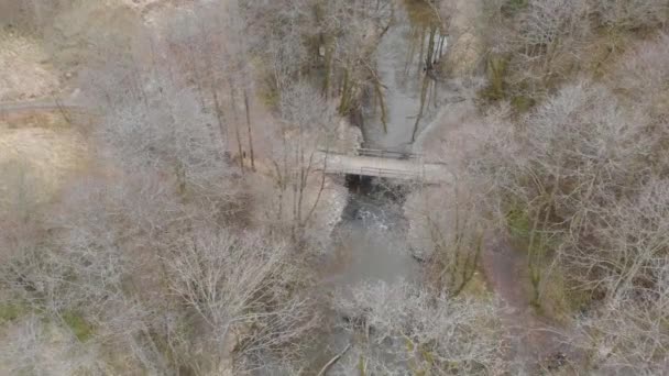 Walk Bridge River Leafless Deciduous Forest Winter Day Aerial Establishing — ストック動画