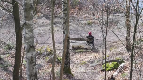 初春を楽しむ木のエリアにある公園のベンチに座っている高齢者は 傾きます 高品質4K映像 — ストック動画
