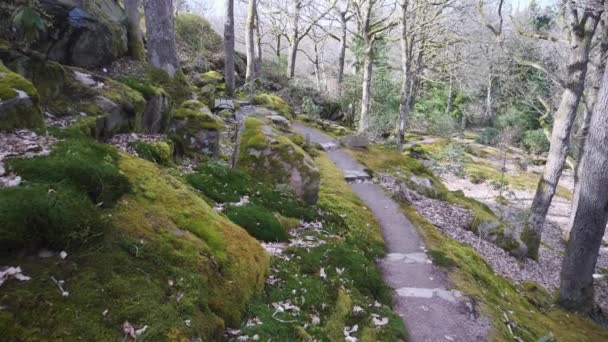 Walking Trail Moss Covered Area Spring Gothenburg Botanical Garden Sweden — Vídeo de Stock