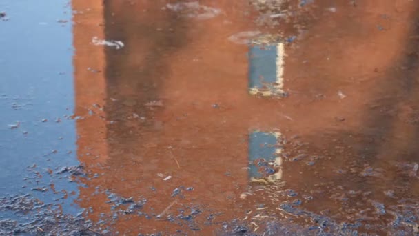 Отражение Воды Строительного Фасада Луже Рябью После Сцены Дождя Высококачественные — стоковое видео