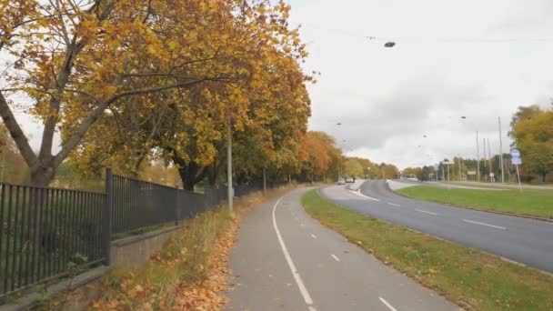 Rows Trees Bike Path Road Kviberg Cemetery Fall Gothenburg High — Stok Video