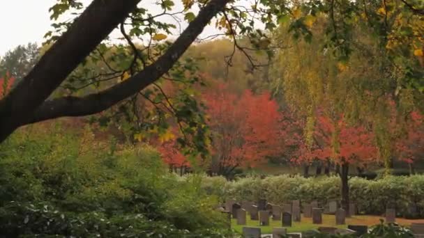 Red Foliage Nordic Cemetery Fall Pan Shot High Quality Footage — Stock video