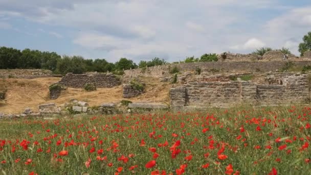 Roma Şehir Harabeleri Poppy Flower Meadow Solin Hırvatistan Yüksek Kalite — Stok video