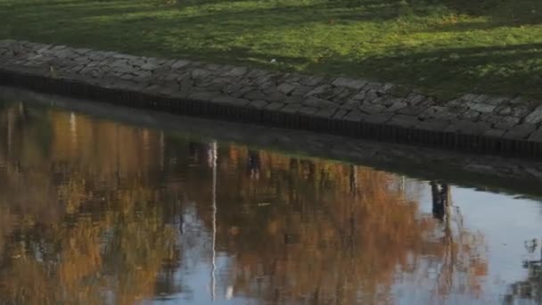 Sonbaharda River Reflection Dan Park Stroll Early Evening Sen Yüksek — Stok video