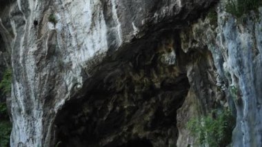 Kırlangıç Mağarası ya da Swift Mağara Kuşları, Dinarik Alpler, Balkanlar. Yüksek kalite 4k görüntü