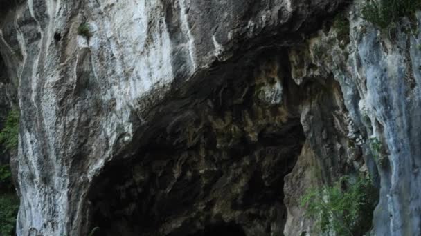 Caverna Com Andorinha Swift Cave Birds Dinaric Alps Balkans Imagens — Vídeo de Stock